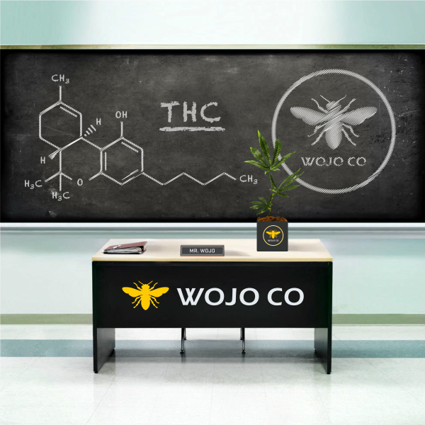 Wojo's Cannabis Classroom