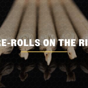 michigan cannabis pre roll market statistics