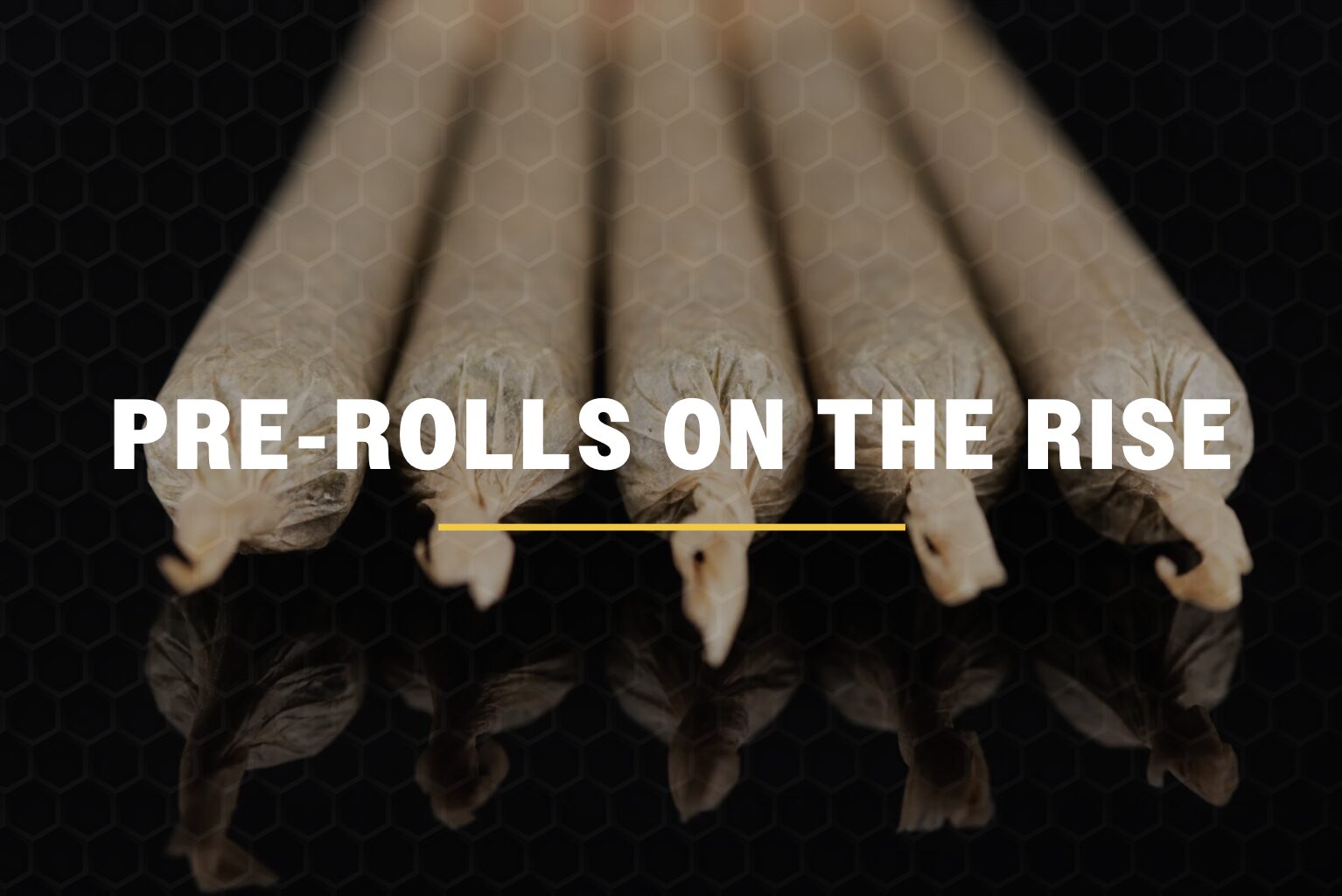 Michigan Pre-Rolls | Cannabis Market Update