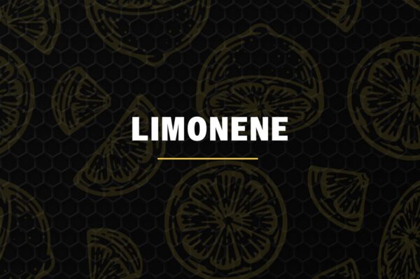 limonene terpene in cannabis